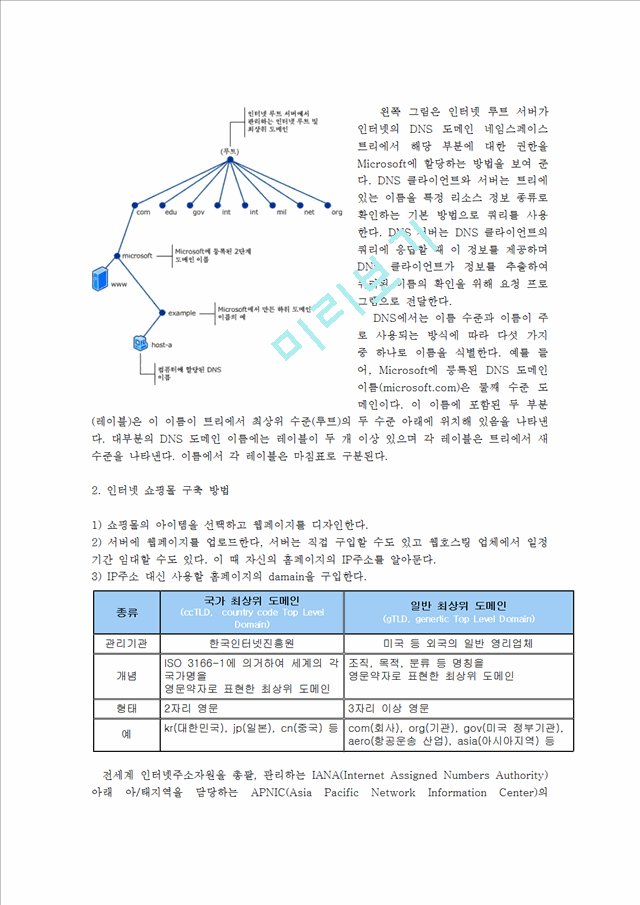 [공학]컴퓨터 네트워크 - DNS에 대해.hwp
